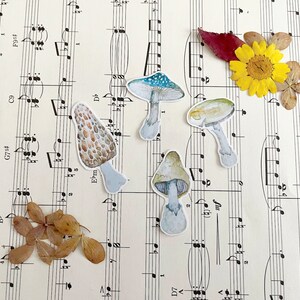 Seta de 4 pegatinas para planificador, setas del bosque, bosque, bullet journal, diario, pegatinas de papel mate, intercambio de correspondencia, morilla, amanita muscaria