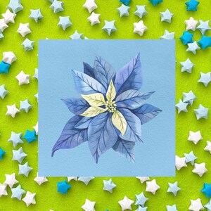 Flor de poinsétia de Natal, país das maravilhas do inverno, botânico, estacionário, impressão, pós-cruzamento, amigo por correspondência, cartão postal quadrado