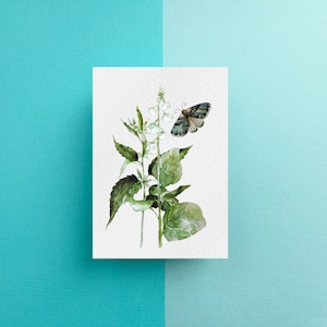 Flor del bosque Snowbell, polilla, bosque, papelería, arte de la acuarela, impresión, amigo por correspondencia, postal A6, arte de la pared