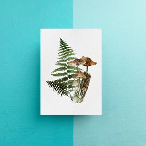 Hongos mágicos psicodélicos, gorras Liberty y onduladas, helechos, hongos, bosque, estacionario, arte de acuarela, impresión, postal A6, arte de pared