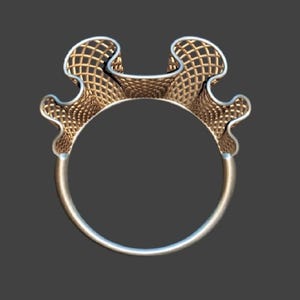 Detailansicht des geometrischen Fantasie Rings mit organischer Struktur als 3D Modell