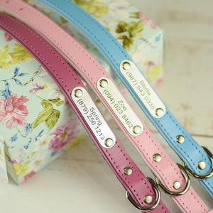 Personalized dog collar,  personalized leather dog collar