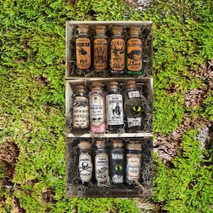 Potion Bottles- Apothecary Bottles- Mystery Box- Magic Potions- Apothecary Cabinet- Halloween Decor- Curiosity Jars-