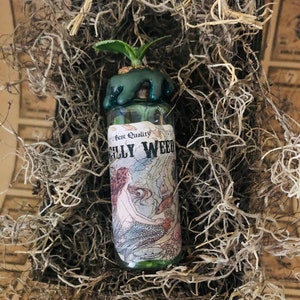 Magic Potions - Elixir - Apothecary -