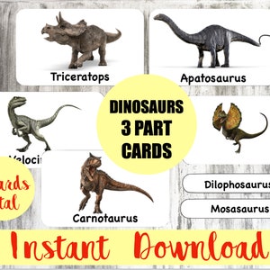 Dinosaurs Flashcards | Montessori Nomenclature - Flash - 3 Parts Cards | Montessori | Animal Matching