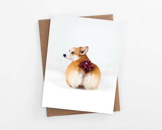 corgi butt birthday