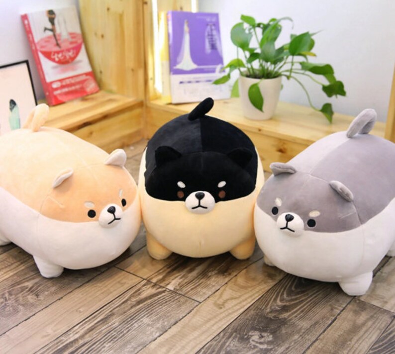 corgi pillow pet