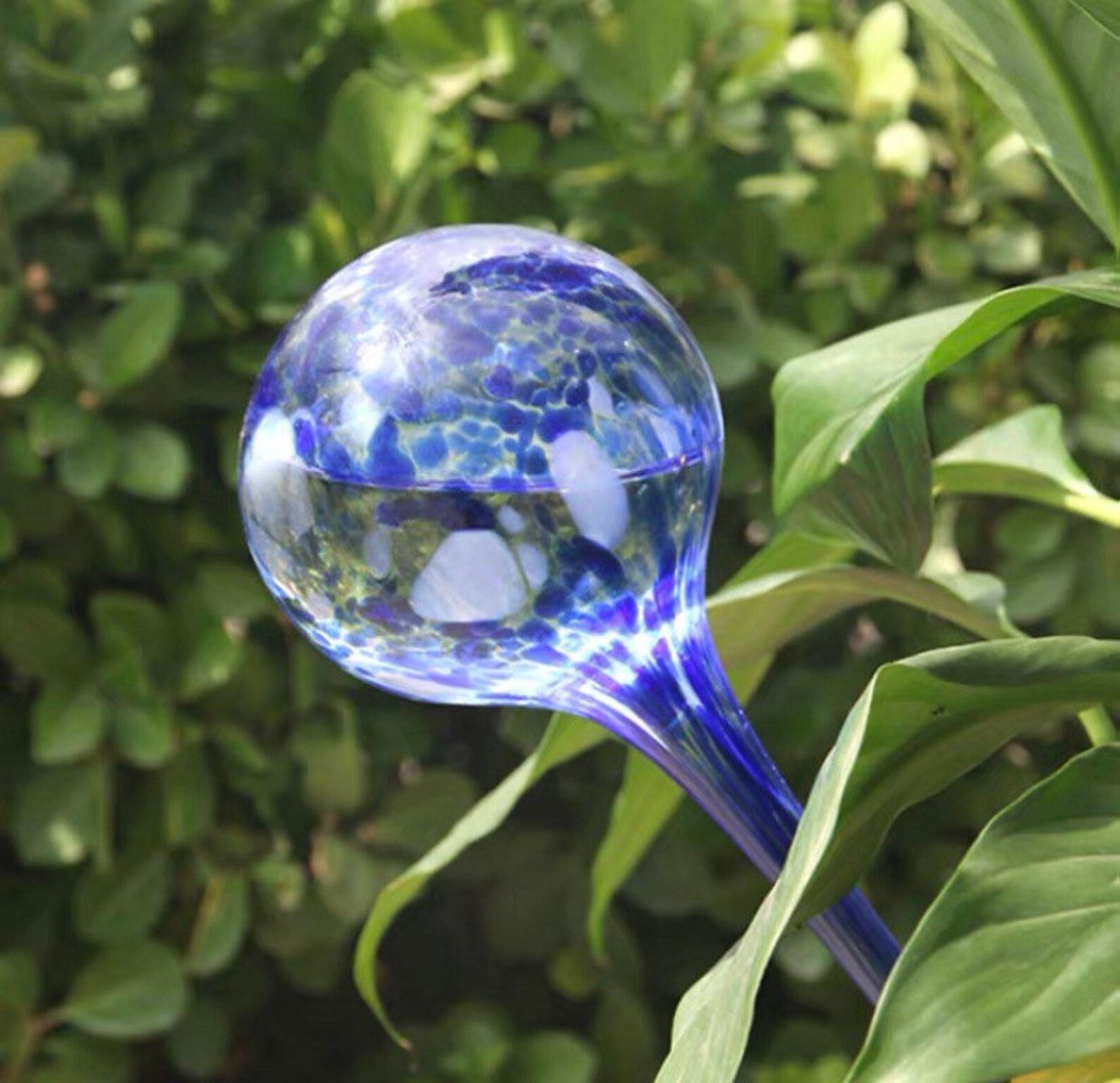 Sungmor Glass Watering Globes Pack 2PC Self Watering Bulbs Etsy