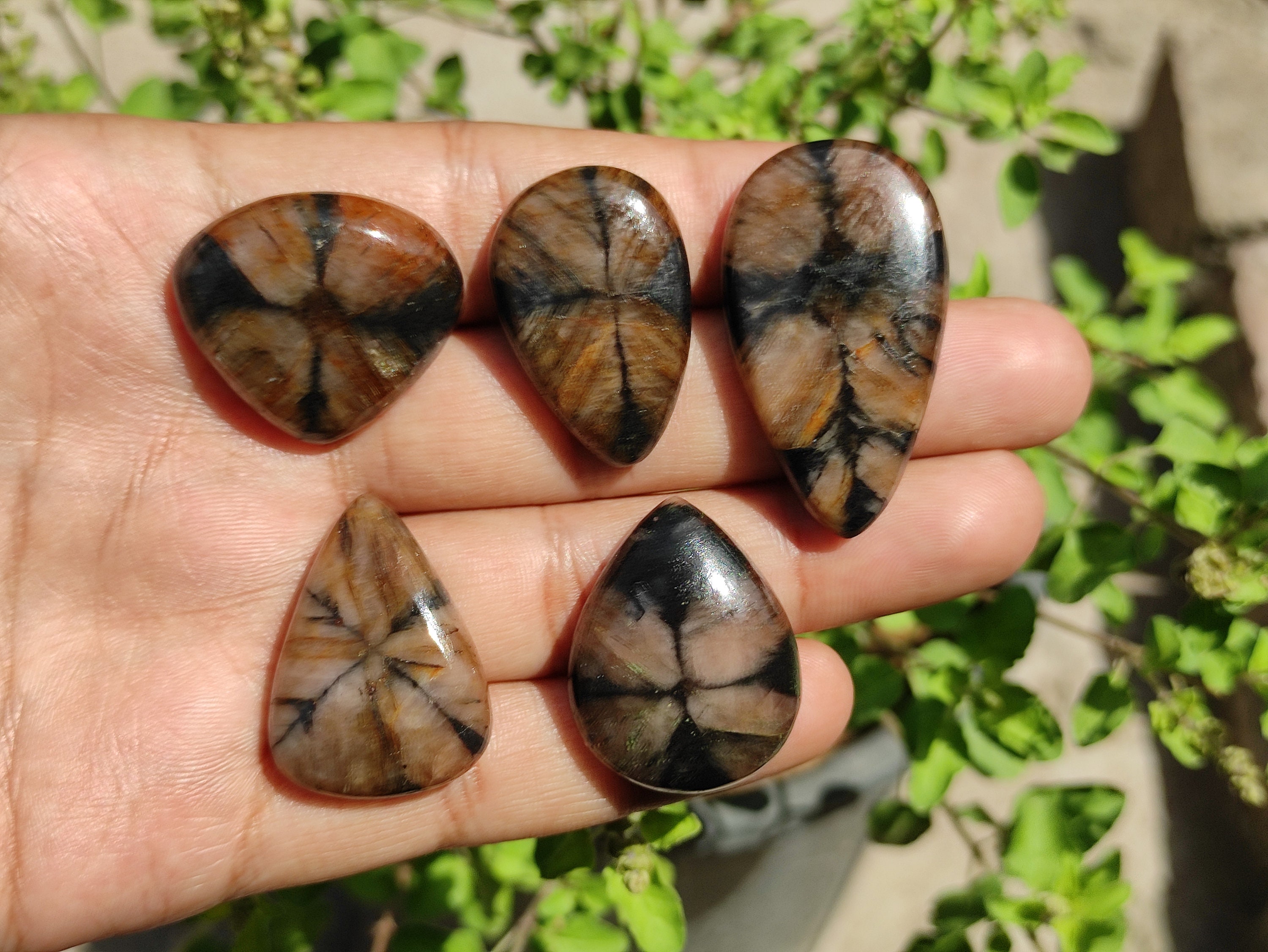 Chiastolite - Cabochon Chiastolite - Cabochon