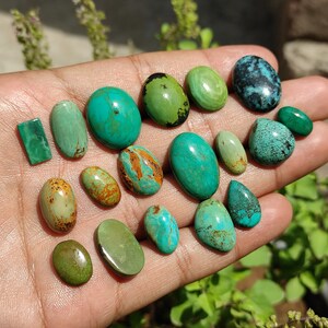 May include: A collection of 16 turquoise cabochons in various shades of green and blue, some with brown markings. The cabochons are displayed on a hand.