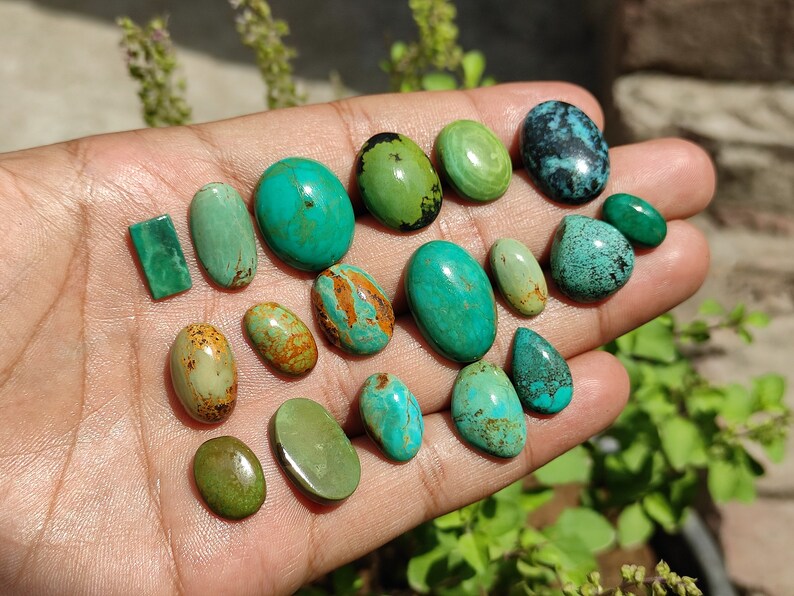 May include: A collection of 16 turquoise cabochons in various shades of green and blue, some with brown markings. The cabochons are displayed on a hand.