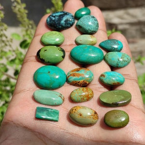 May include: A collection of 16 turquoise cabochons in various shapes and sizes, ranging from deep blue-green to a lighter green with brown matrix. The stones are displayed on a hand.