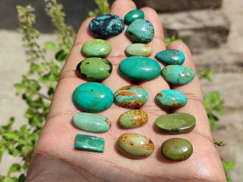 May include: A collection of 16 turquoise cabochons in various shapes and sizes, ranging from deep blue-green to a lighter green with brown matrix. The stones are displayed on a hand.
