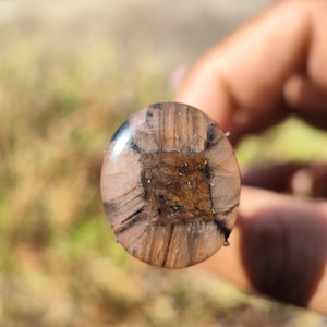 CHIASTOLITE Crystal Cabochon - Andalusite cabochon - Chiastolite Trapiche - healing crystal - chiastolite pendant - chiastolite