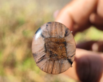 CHIASTOLITE Crystal Cabochon - Andalusite cabochon - Chiastolite Trapiche - healing crystal - chiastolite pendant - chiastolite