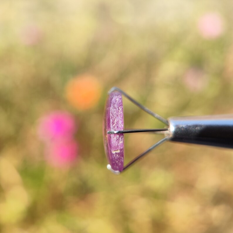 May include: A close-up side view of a purple gemstone held in a metal clamp. The gemstone is oval shaped and has a smooth, polished surface.