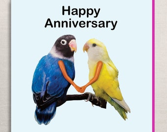 Happy Anniversary, funny card