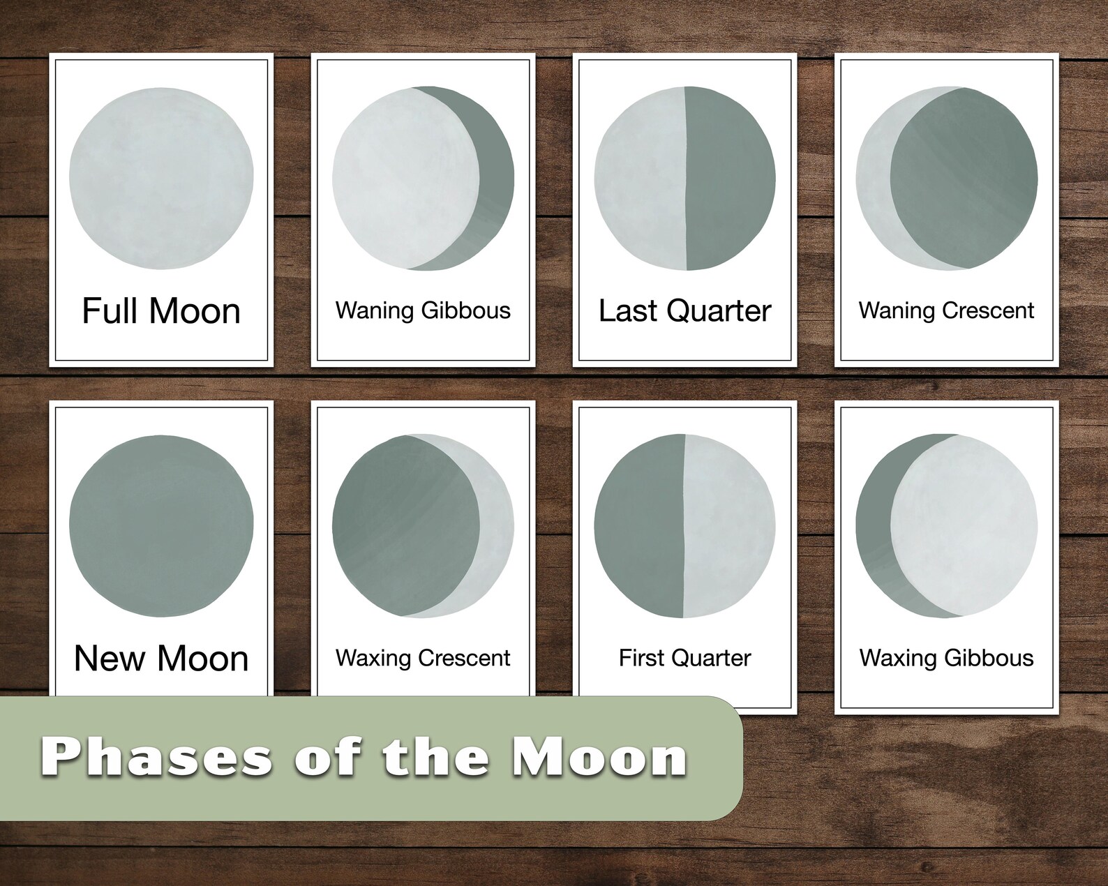Digital Phases of the Moon Flash Cards 8 Montessori - Etsy