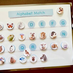 Alphabet ABC Learning Mat Lowercase and Uppercase Animal and Food Abcs ...