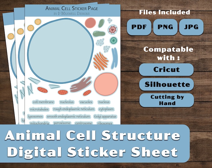 Digital Printable Animal Cell Structure Sticker Sheet | Homeschool ...