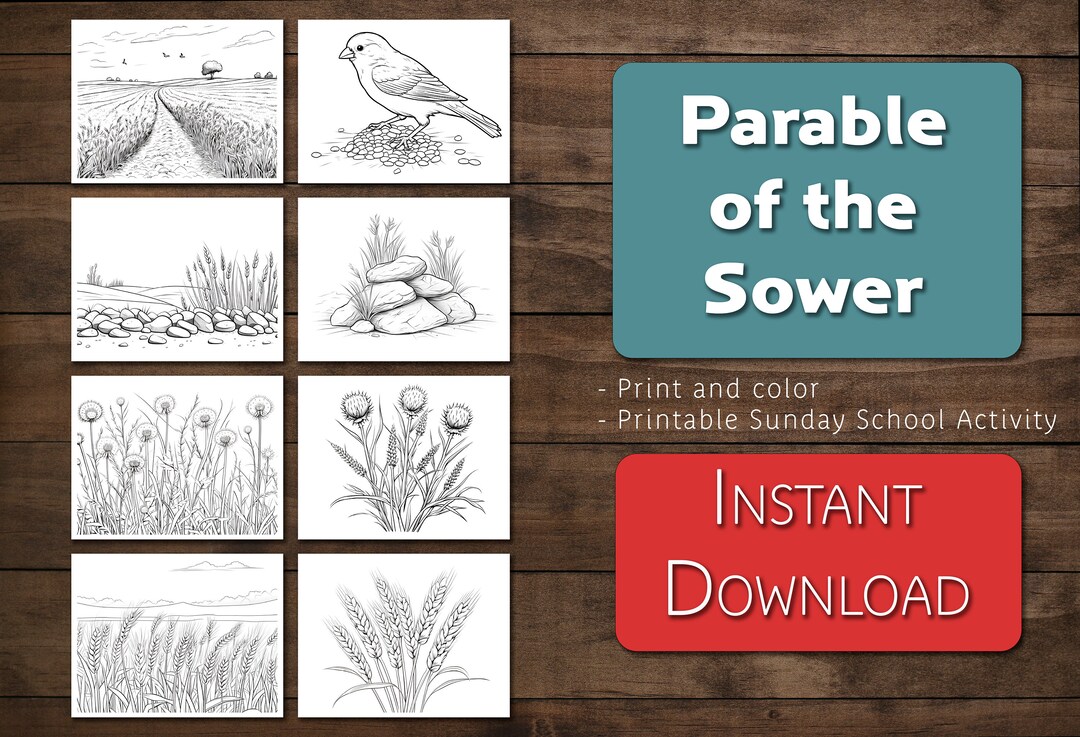 Parable of the Sower Coloring Book Pages| Sunday School Bible Class