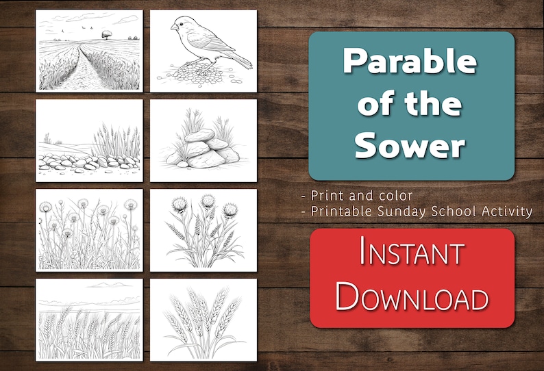 Parable of the Sower Coloring Book Pages| Sunday School Bible Class