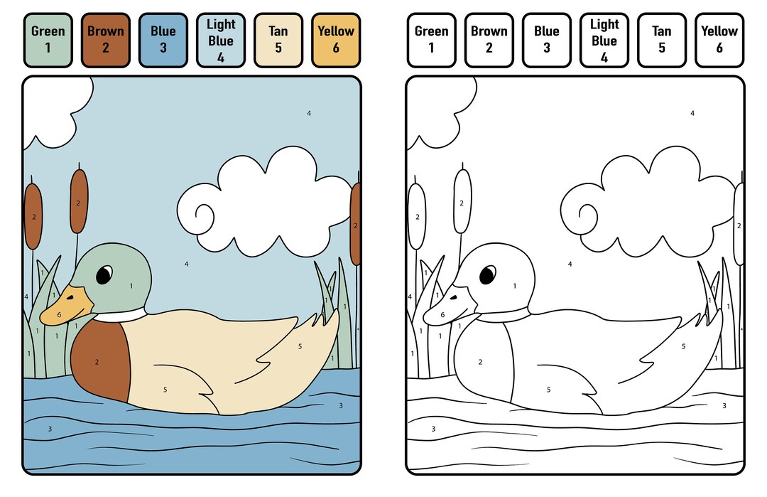 Duck Color by Number Paint by Number Educational Digital Etsy