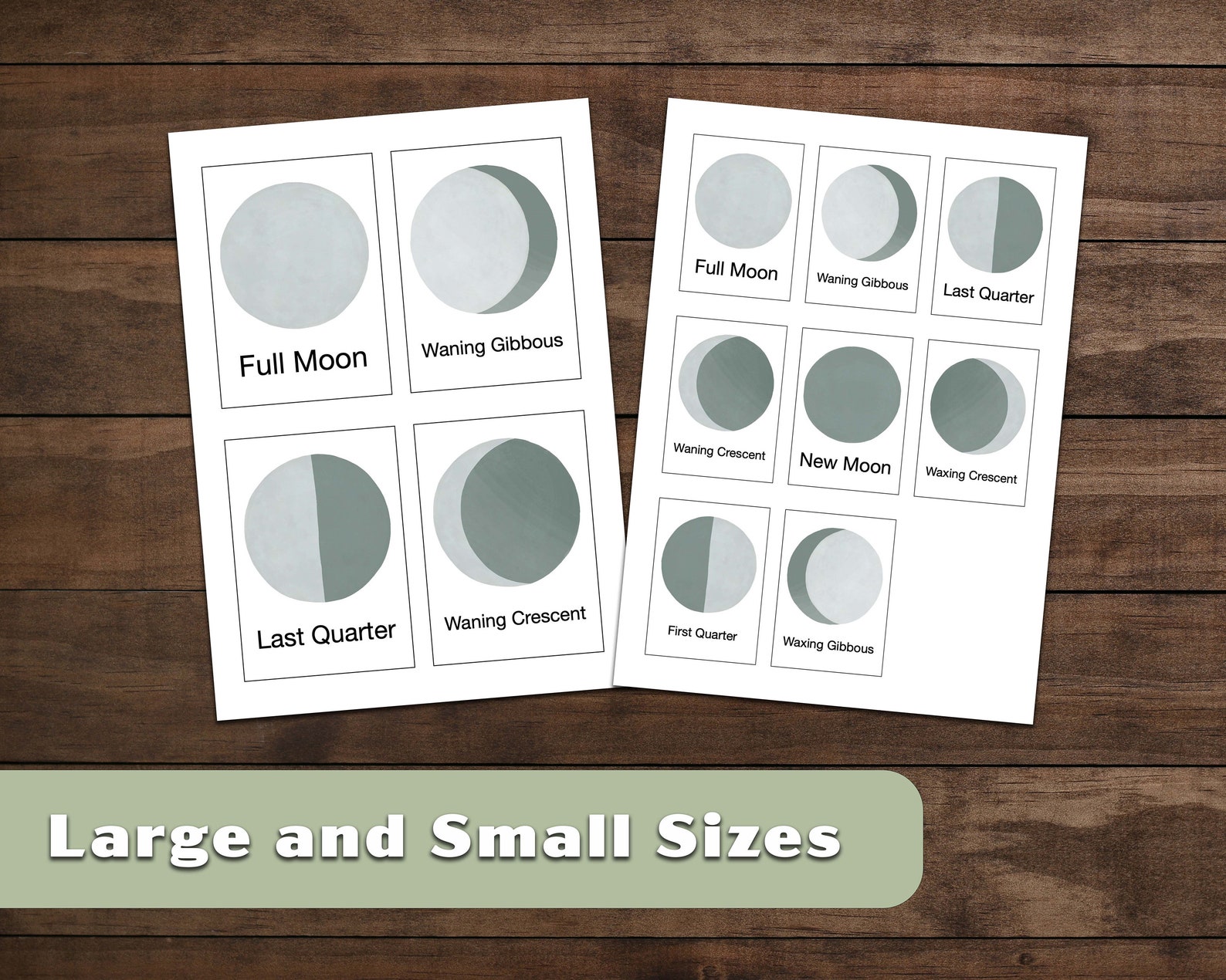 Digital Phases of the Moon Flash Cards 8 Montessori - Etsy