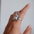 Rhinoceros Beetle Ring Sterling Silver 925 Stag Scarab Rhino Beetle Bug Ring product logo