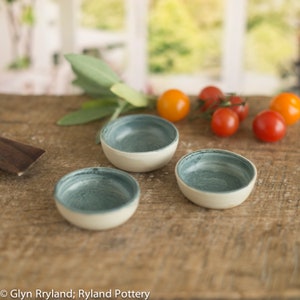 Small serving bowls, small bowls for individual sauce, dips.  Mini bowls