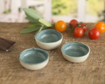 Small serving bowls, small bowls for individual sauce, dips.  Mini bowls