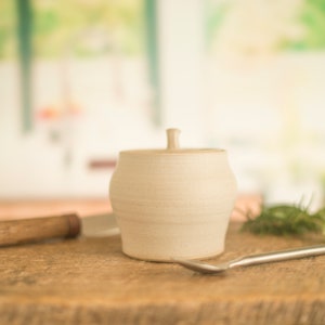 May include: A white ceramic jar with a lid. The jar has a slightly rounded shape and a textured surface. The jar is sitting on a wooden surface.