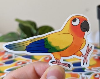 May include: A colorful sticker featuring a cartoon sun conure parrot. The bird has yellow, orange, green, and blue feathers, with a black beak and eye. The sticker is held in a hand, with several other stickers visible in the background. A small potted plant is also in the background.