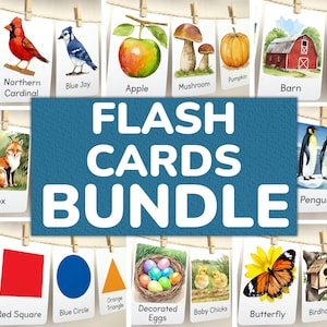 Lot de cartes mémoire de plus en plus : lot de cartes mémoire imprimables pour l'apprentissage des tout-petits, décoration éducative pour salle de classe préscolaire.