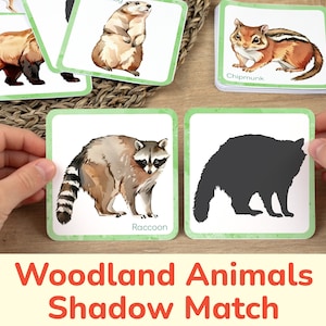 Woodland Animals Shadow Match Cards: printable early learning activity for toddlers. Wildlife of the woods match cards: Raccoon, Chipmunk. DIY nature unit preschool classroom educational resource, homeschooling printables. Forest creatures materials.