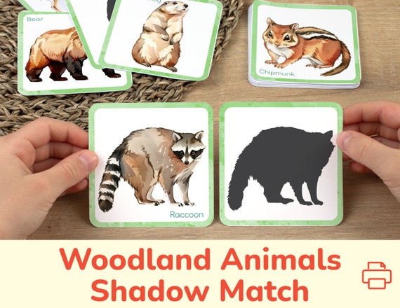 Woodland Animals Shadow Matching Activity: Toddler Printable Match Cards. Preschool, Homeschool Learning Printables, Educational Resource.