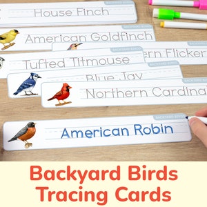 Cartes de traçage des oiseaux de basse-cour d'Amérique du Nord. Activité d'apprentissage imprimable pour l'identification des oiseaux, ressource d'éducation à la maison pour l'éducation à la nature.