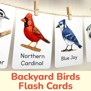 North American Backyard Birds Flash Cards. Printable Learning Materials for Bird Identification. Nature Education Homeschooling Resource.