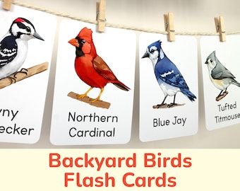 Tarjetas didácticas de pájaros del patio trasero de América del Norte. Materiales de aprendizaje imprimibles para la identificación de aves. Recurso de educación en el hogar sobre educación sobre la naturaleza.
