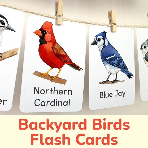 Nordamerikanische Backyard Birds Flash Cards. Druckbare Lernmaterialien zur Vogelbestimmung. Natur Bildung Homeschooling Ressource.