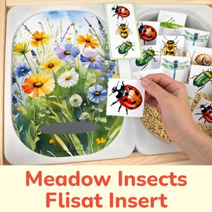 Wiese Insekten Flisat Insert: Passende Aktivität für Sensory Table Trofast Bins. Kleinkind, Vorschule Sommer Natur Druckbare Vorlage.