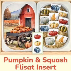 Pumpkin & Squash Flisat Insert: Matching Activity for Sensory Table Trofast Bins. Toddler, Preschool Fall Harvest on Farm Printable Template