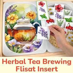 Herbal Tea Flisat Insert: Herbs Matching Activity for Sensory Table Bins. Toddler, Preschool Visual Discrimination Insert Printable Template