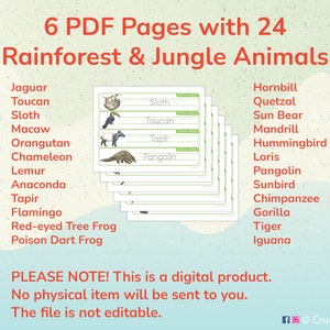Tropical Animals Tracing Strips: Printable Educational Worksheets ...