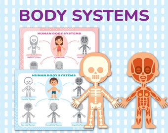 Paquete de anatomía de aprendizaje imprimible de sistemas del cuerpo humano. Preescolar, Pre-K, Jardín de infantes