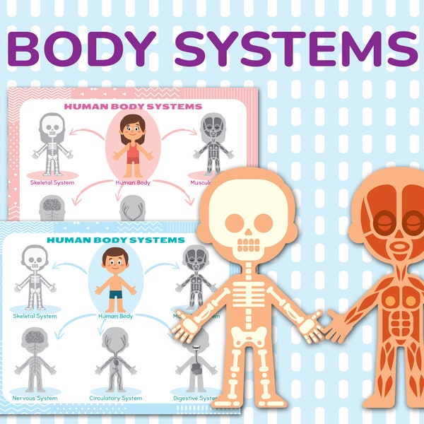 Human Body Systems Printable Learning Anatomy Pack. Preschool, Pre-K, Kindergarten