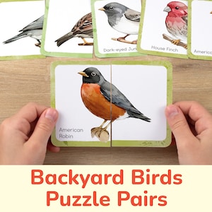 Pares de quebra-cabeças de pássaros de quintal da América do Norte: atividade de aprendizagem para crianças, quebra-cabeças de correspondência de natureza pré-escolar, cartas de jogo, atividades para impressão.