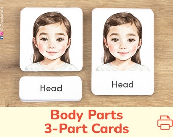 Body Parts 3-Part Cards, Girl Version. Body Identification Printable Learning Activity. Anatomy Education Resource for Homeschool, Classroom