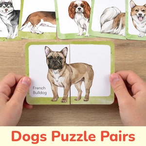 Paires de puzzles de races de chiens : cartes de correspondance imprimables pour les tout-petits. Activité d’apprentissage préscolaire, imprimables à la maison, ressource éducative de bricolage.