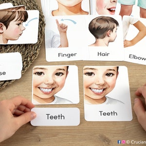 Body Parts 3-part Cards, Boy Version. Body Identification Printable ...
